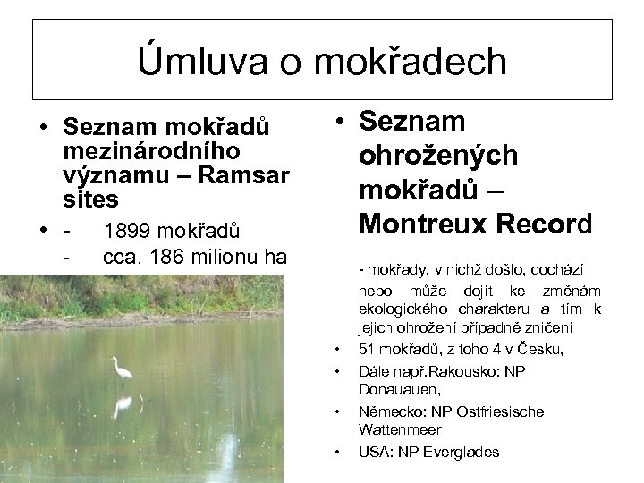 Úmluva o mokřadech • Seznam mokřadů mezinárodního významu – Ramsar sites • - 1899