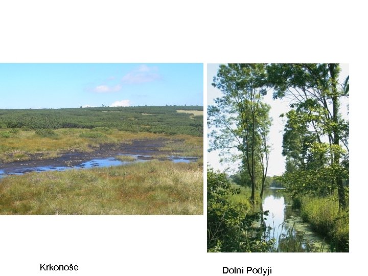 Krkonoše Dolní Podyjí 