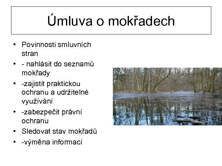 Úmluva o mokřadech • Povinnosti smluvních stran • - nahlásit do seznamů mokřady •
