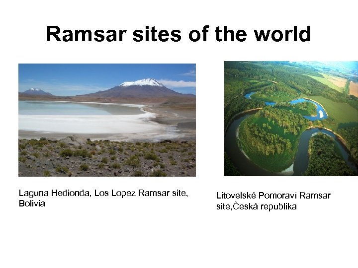 Ramsar sites of the world Laguna Hedionda, Los Lopez Ramsar site, Bolivia Litovelské Pomoraví