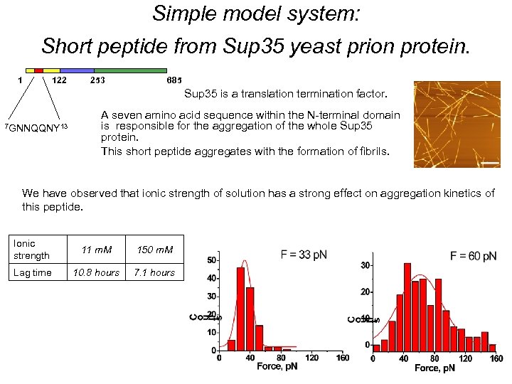 Simple model system: Short peptide from Sup 35 yeast prion protein. 1 122 253
