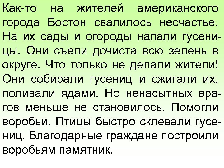 Как-то на жителей американского города Бостон свалилось несчастье. На их сады и огороды напали