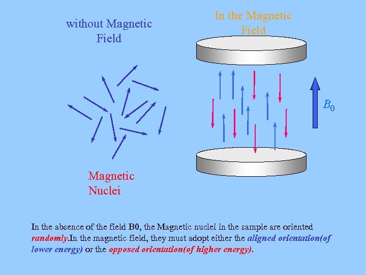 without Magnetic　 Field In the Magnetic Field B 0 Magnetic Nuclei In the absence