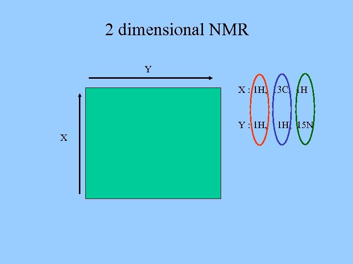2 dimensional NMR Y X : 1 H, 13 C, 1 H Y :