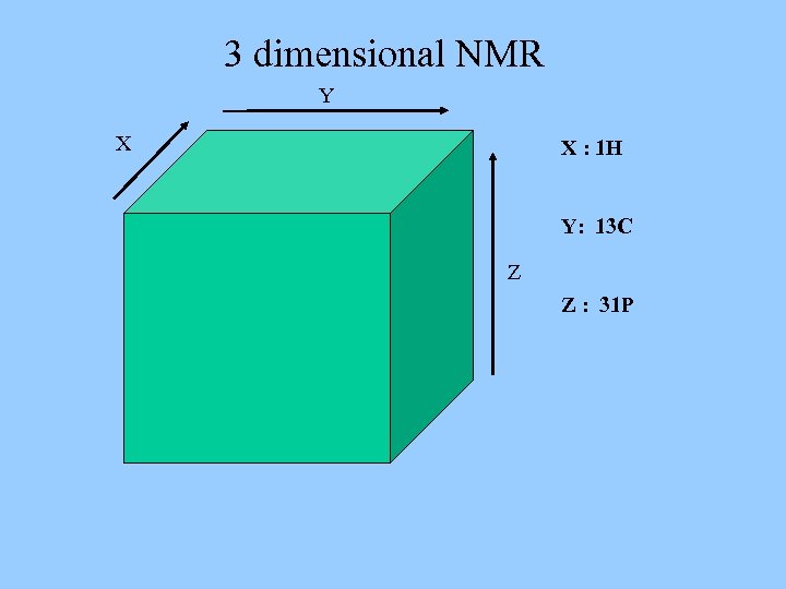 3 dimensional NMR Y X X : 1 H Y: 13 C Z Z
