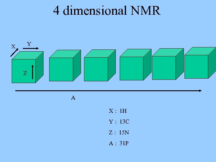 4 dimensional NMR X Y Z A X : 1 H Y : 13