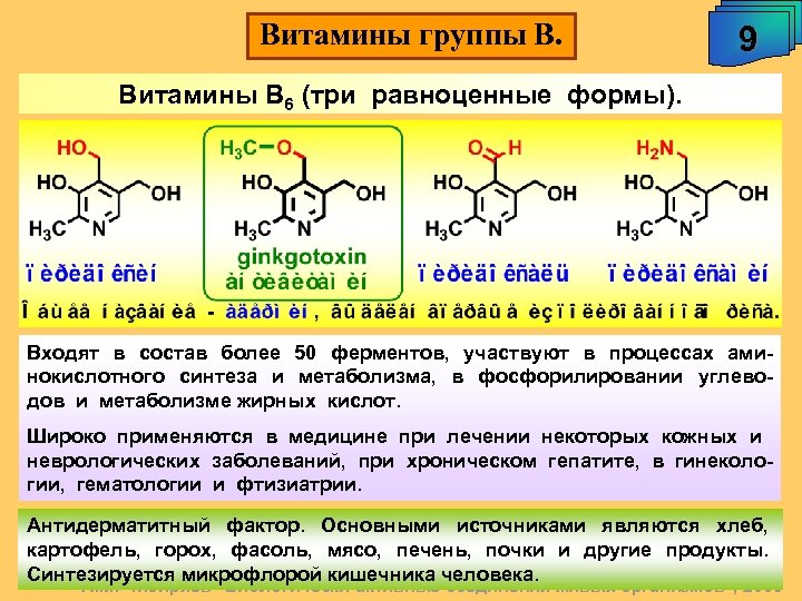 Витамины группы В. 9 Витамины В 6 (три равноценные формы). Входят в состав более