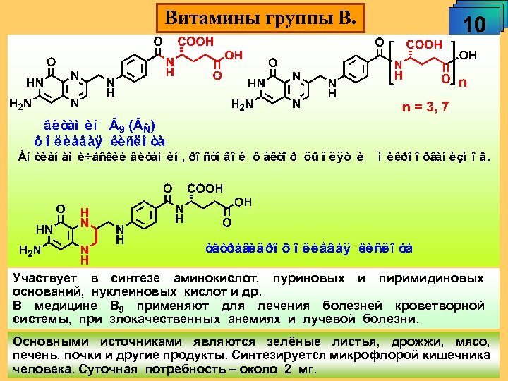 Витамины группы В. 10 Участвует в синтезе аминокислот, пуриновых и пиримидиновых оснований, нуклеиновых кислот