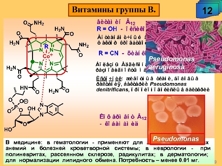 Витамины группы В. 12 Pseudomonas aeruginosa Pseudomonas В медицине: в гематологии - применяют для