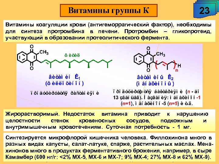 Витамины группы К 23 Витамины коагуляции крови (антигеморрагический фактор), необходимы для синтеза протромбина в