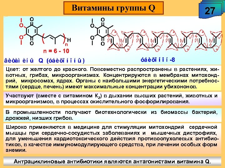 Витамины группы Q 27 Цвет: от желтого до красного. Повсеместно распространены в растениях, животных,