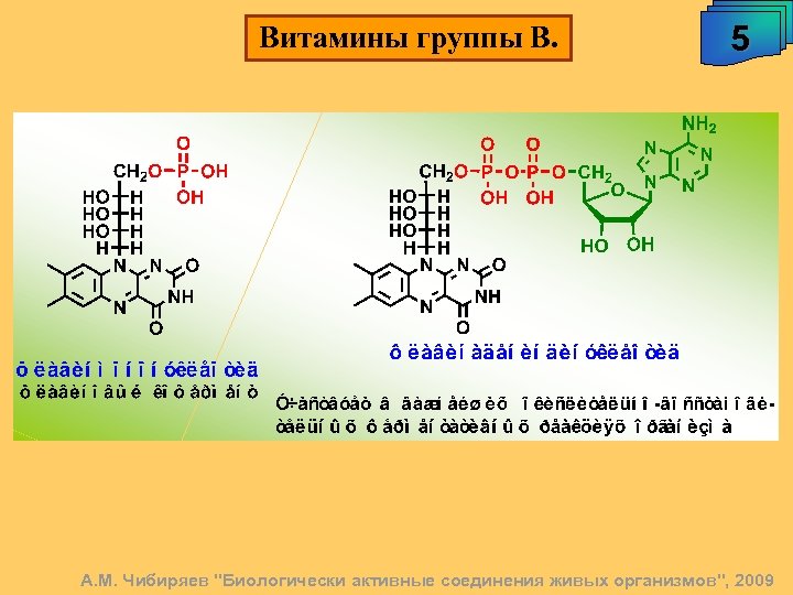 Витамины группы В. 5 А. М. Чибиряев "Биологически активные соединения живых организмов", 2009 