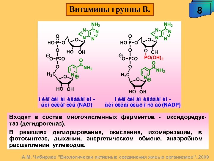 Витамины группы В. 8 Входят в состав многочисленных ферментов - оксидоредуктаз (дегидрогеназ). В реакциях