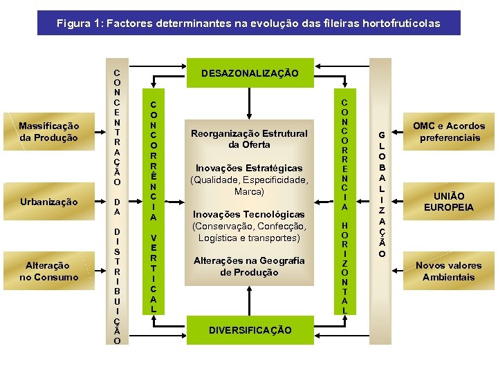 Figura 1: Factores determinantes na evolução das fileiras hortofrutícolas Massificação da Produção Urbanização Alteração