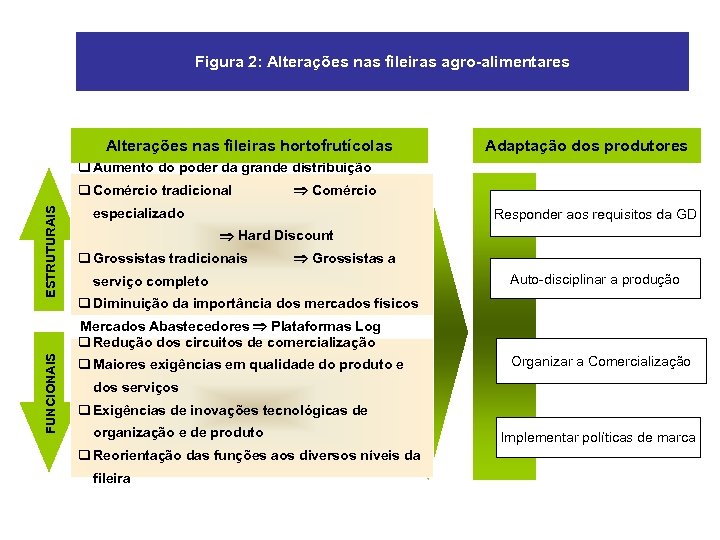 Figura 2: Alterações nas fileiras agro-alimentares Alterações nas fileiras hortofrutícolas Adaptação dos produtores q