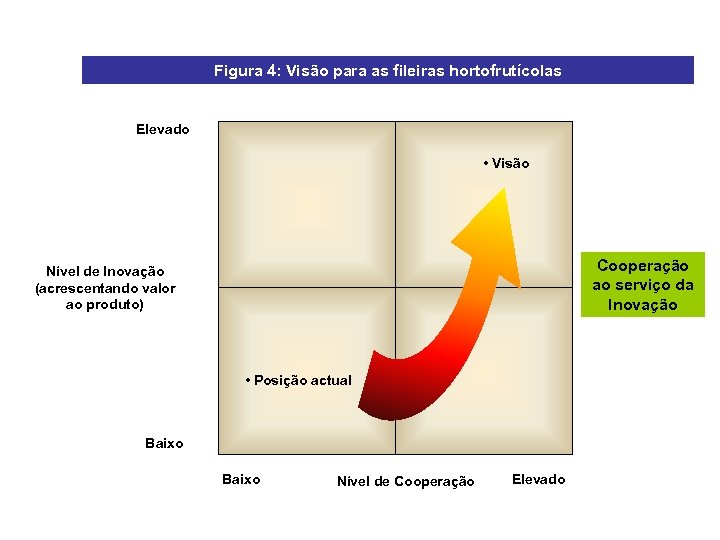 Figura 4: Visão para as fileiras hortofrutícolas Elevado • Visão Cooperação ao serviço da