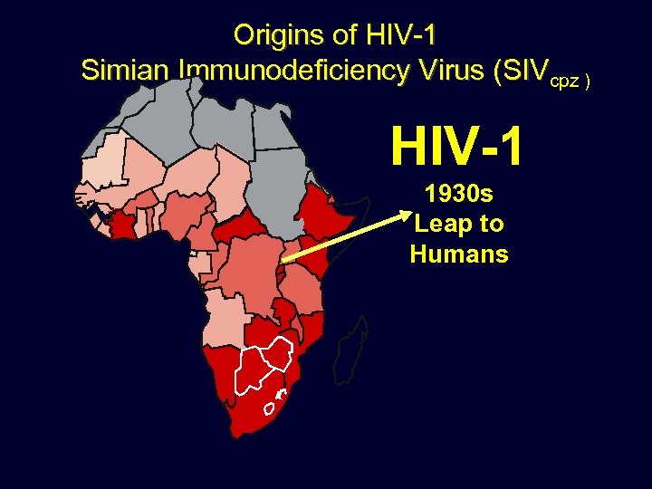 Origins of HIV-1 Simian Immunodeficiency Virus (SIVcpz ) HIV-1 1930 s Leap to Humans