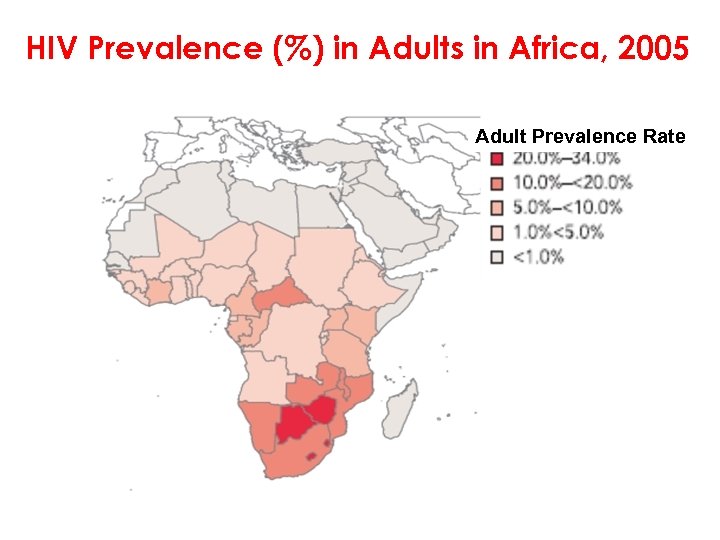 HIV Prevalence (%) in Adults in Africa, 2005 Adult Prevalence Rate 