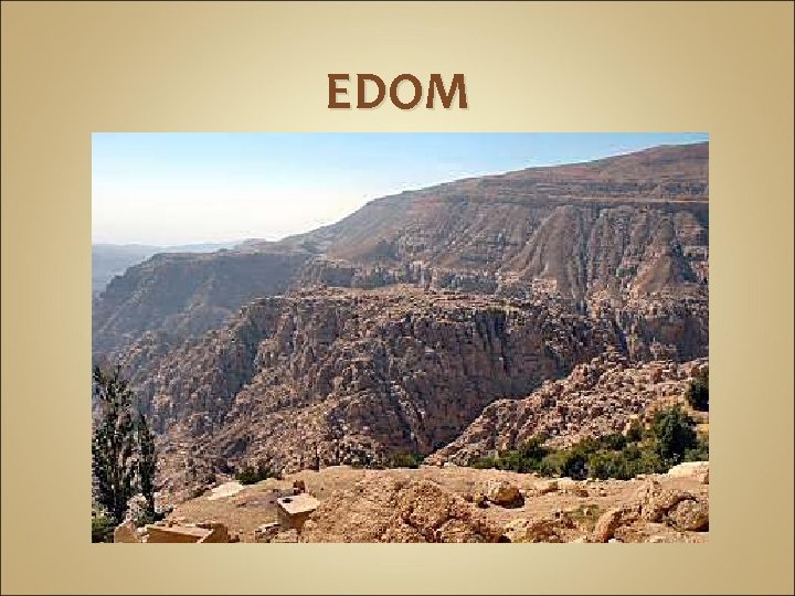 EDOM 