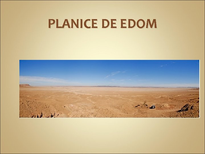 PLANICE DE EDOM 