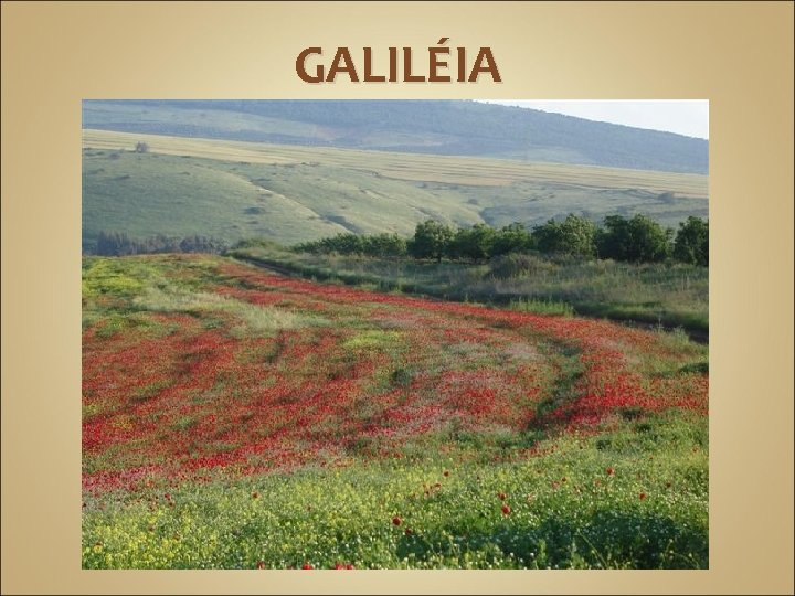 GALILÉIA 