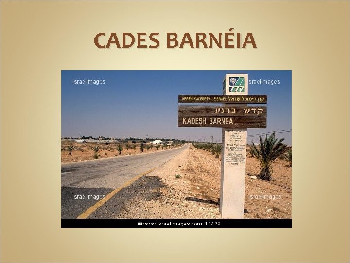 CADES BARNÉIA 