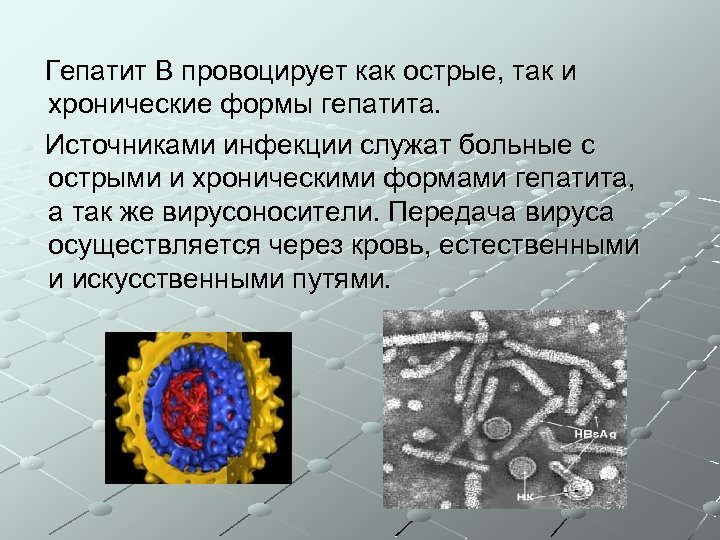 Гепатит В провоцирует как острые, так и хронические формы гепатита. Источниками инфекции служат больные