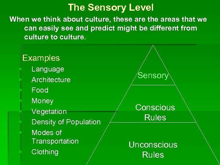 The Sensory Level When we think about culture, these are the areas that we