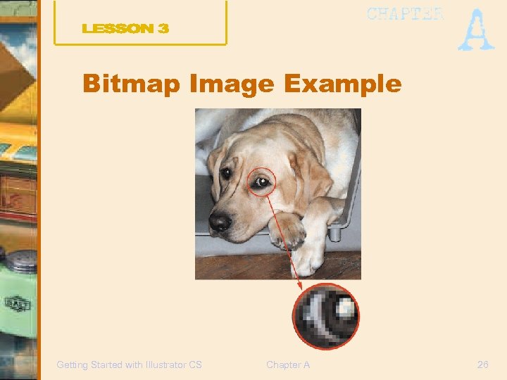 Bitmap Image Example Getting Started with Illustrator CS Chapter A 26 