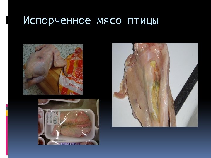 Испорченное мясо птицы 