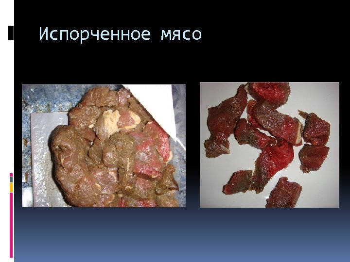 Испорченное мясо 