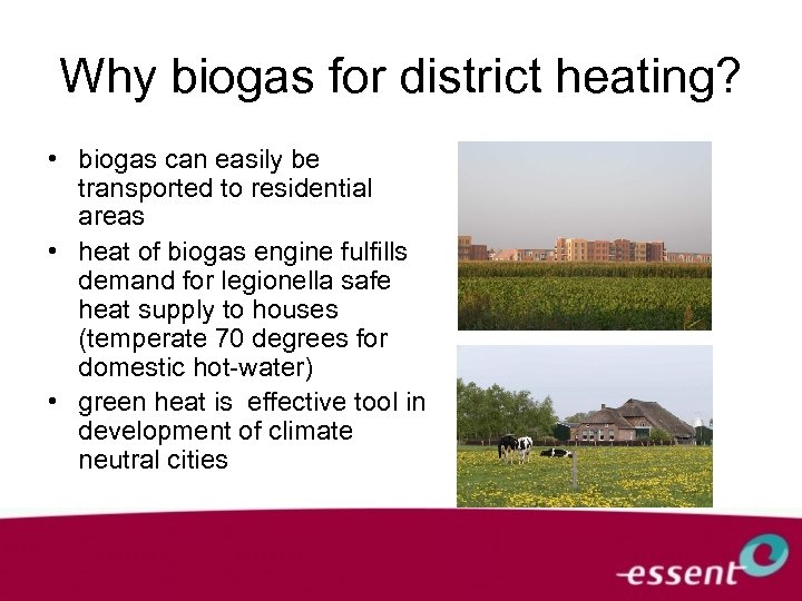 Why biogas for district heating? • biogas can easily be transported to residential areas