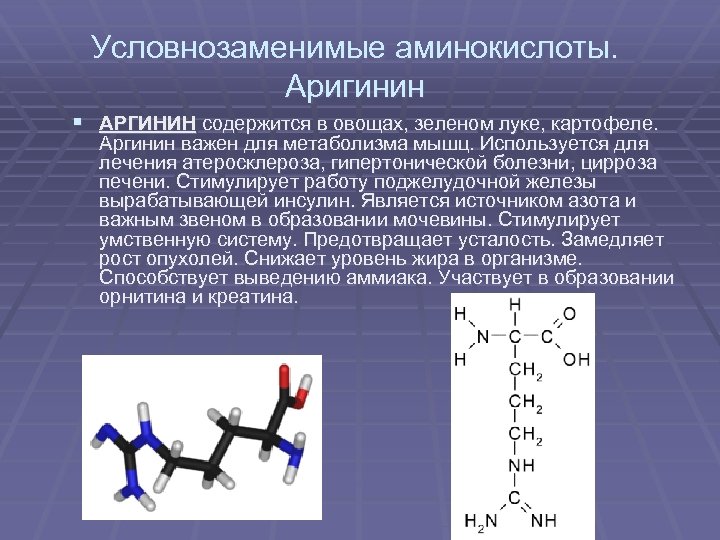 Условнозаменимые аминокислоты. Аригинин § АРГИНИН содержится в овощах, зеленом луке, картофеле. Аргинин важен для