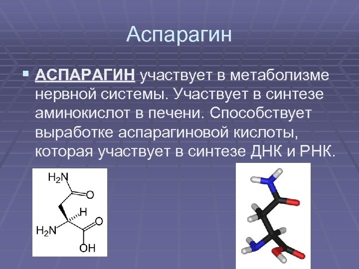 Аспарагин § АСПАРАГИН участвует в метаболизме нервной системы. Участвует в синтезе аминокислот в печени.