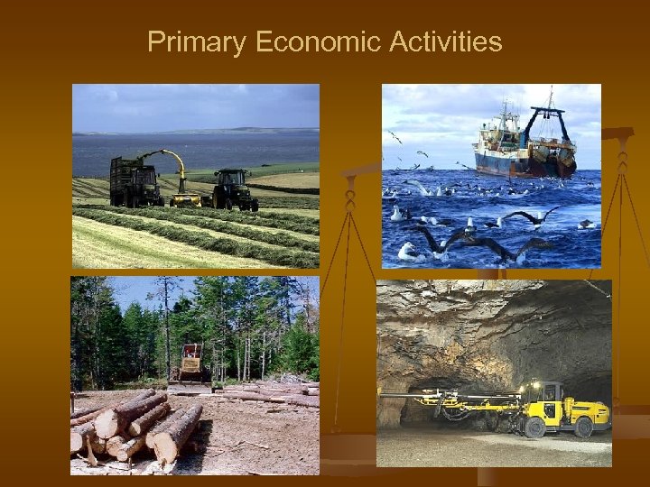 Primary Economic Activities 