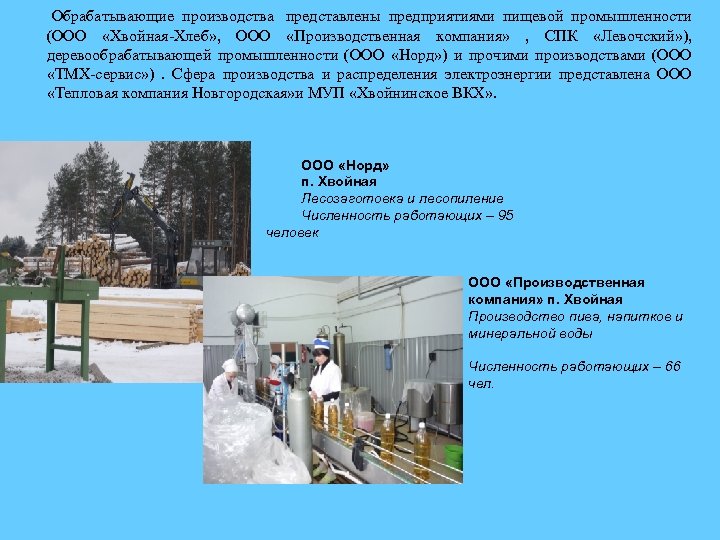  Обрабатывающие производства представлены предприятиями пищевой промышленности (ООО «Хвойная Хлеб» , ООО «Производственная компания»