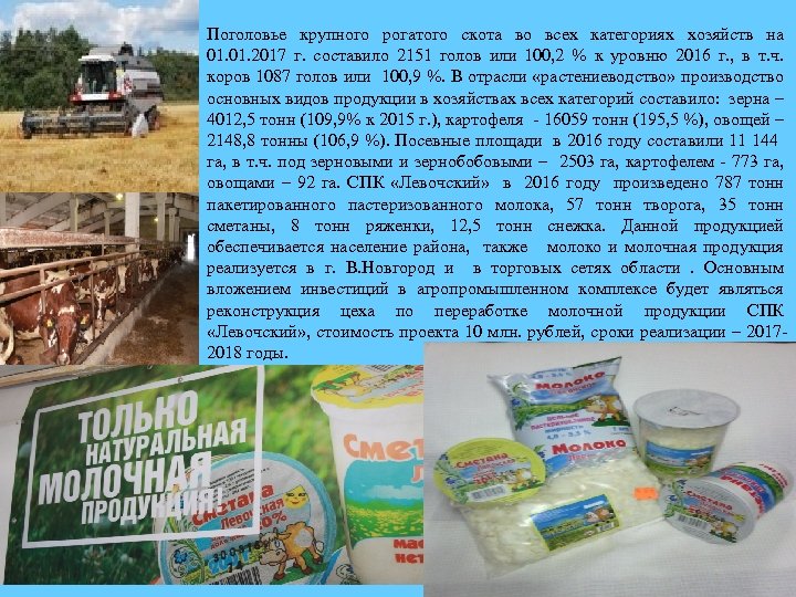 Поголовье крупного рогатого скота во всех категориях хозяйств на 01. 2017 г. составило 2151