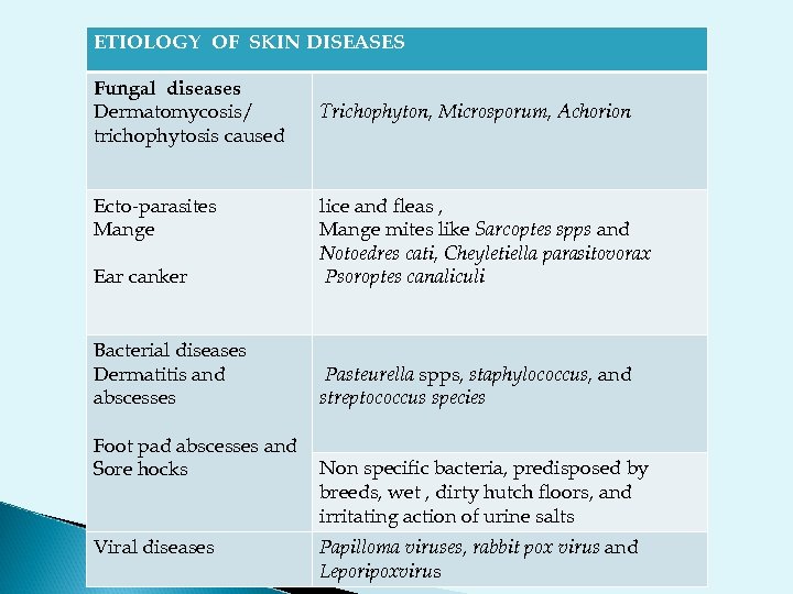 ETIOLOGY OF SKIN DISEASES Fungal diseases Dermatomycosis/ trichophytosis caused Ecto-parasites Mange Trichophyton, Microsporum, Achorion