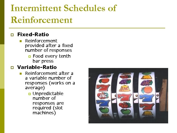 Intermittent Schedules of Reinforcement p Fixed-Ratio n p Reinforcement provided after a fixed number