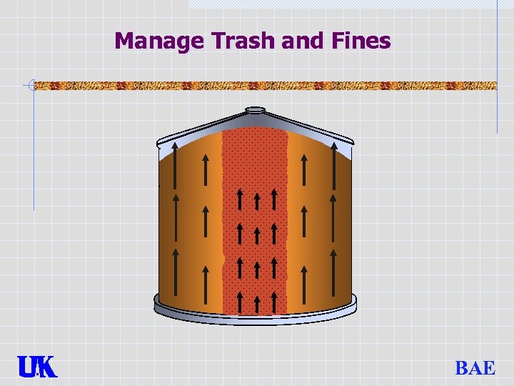 Manage Trash and Fines BAE 