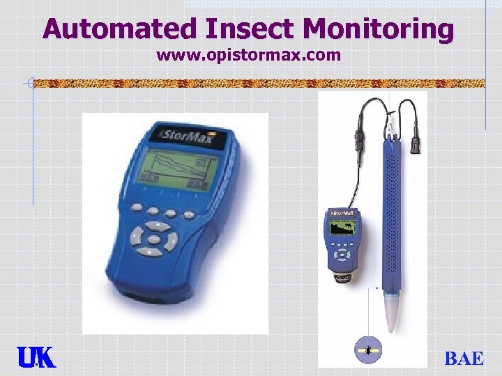 Automated Insect Monitoring www. opistormax. com BAE 