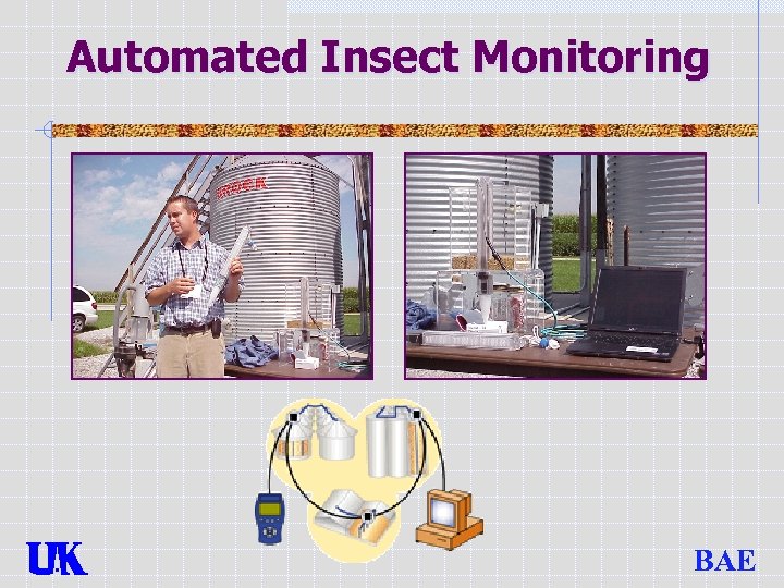 Automated Insect Monitoring BAE 