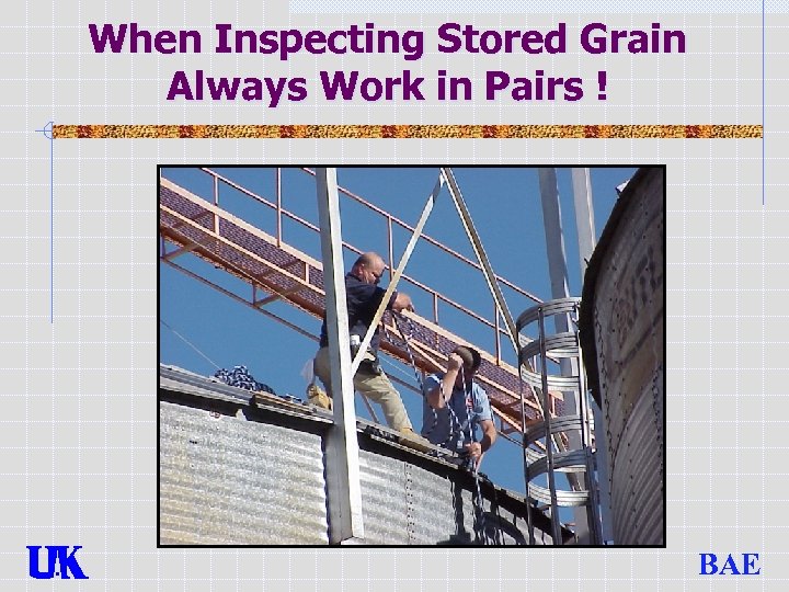 When Inspecting Stored Grain Always Work in Pairs ! BAE 