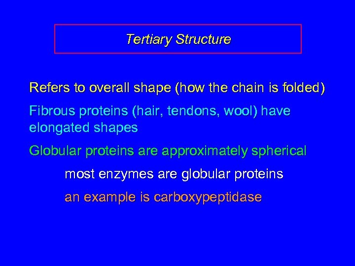 Tertiary Structure Refers to overall shape (how the chain is folded) Fibrous proteins (hair,