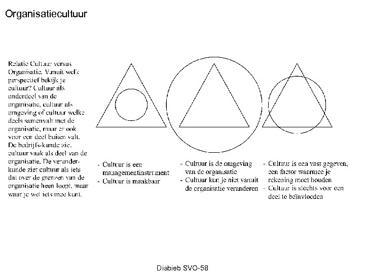 Organisatiecultuur Diabieb SVO-58 