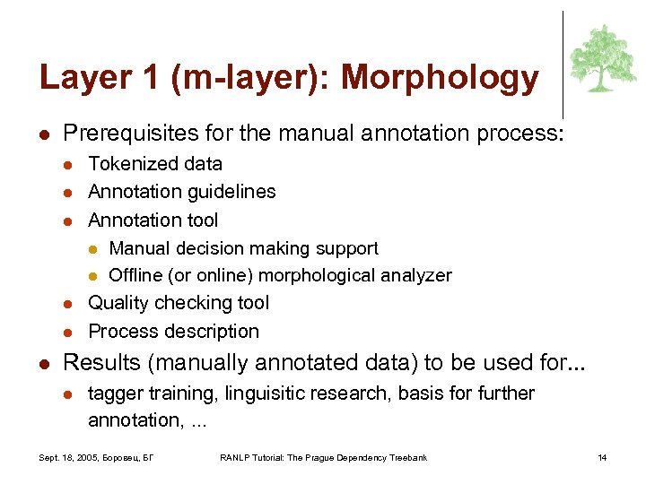 Layer 1 (m-layer): Morphology l Prerequisites for the manual annotation process: l l l