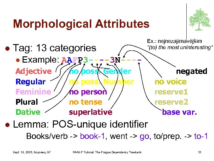 Morphological Attributes l Tag: 13 categories l Example: AAFP 3 ----3 N---- Adjective Regular