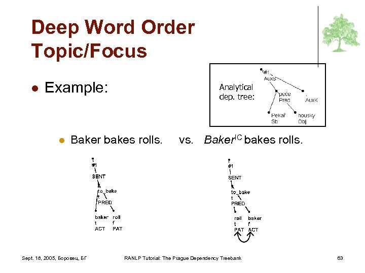 Deep Word Order Topic/Focus l Example: l Analytical dep. tree: Baker bakes rolls. Sept.