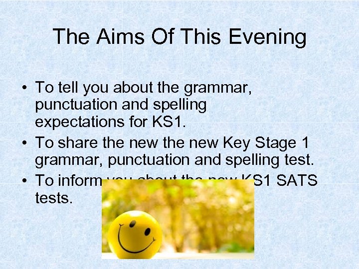 The Aims Of This Evening • To tell you about the grammar, punctuation and