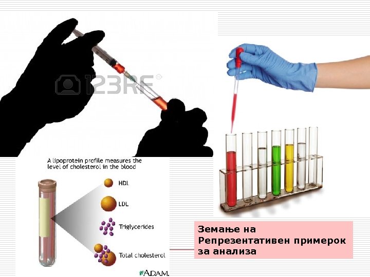 Земање на Репрезентативен примерок за анализа 